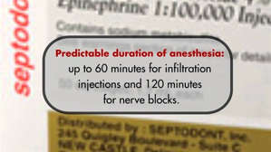 Septocaine Cartridge 4% w/ Epi-Septodont-Dental Supplies