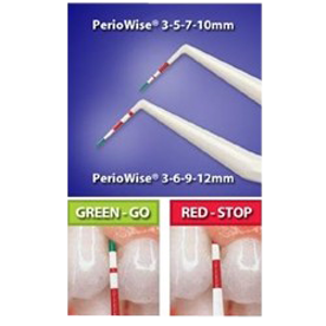 Periowise Probe-Premier Dental-Dental Supplies	