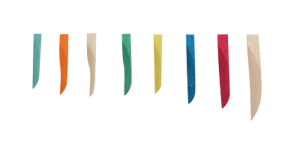 Sycamore Wedges-400/Bx-Assorted-Premier Dental-Dental Supplies