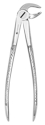 Picture of Extracting Forceps #MD3 Universal Lower, Incisor, Cuspid, Bicuspid, Root - J&J Instruments
