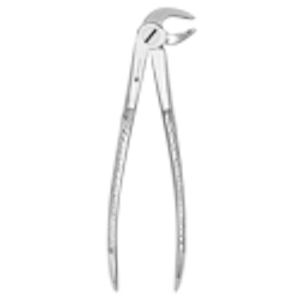 Picture of Extracting Forceps #MD3 Universal Lower, Incisor, Cuspid, Bicuspid, Root - J&J Instruments