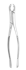 05-170-Extracting Forceps #17-Lower 1st and 2nd Molar-Universal-Straight Handle-J&J Instruments-Dental Supplies.jpg