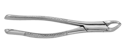 Picture of Extracting Forceps - # 151, Universal - J&J Instruments