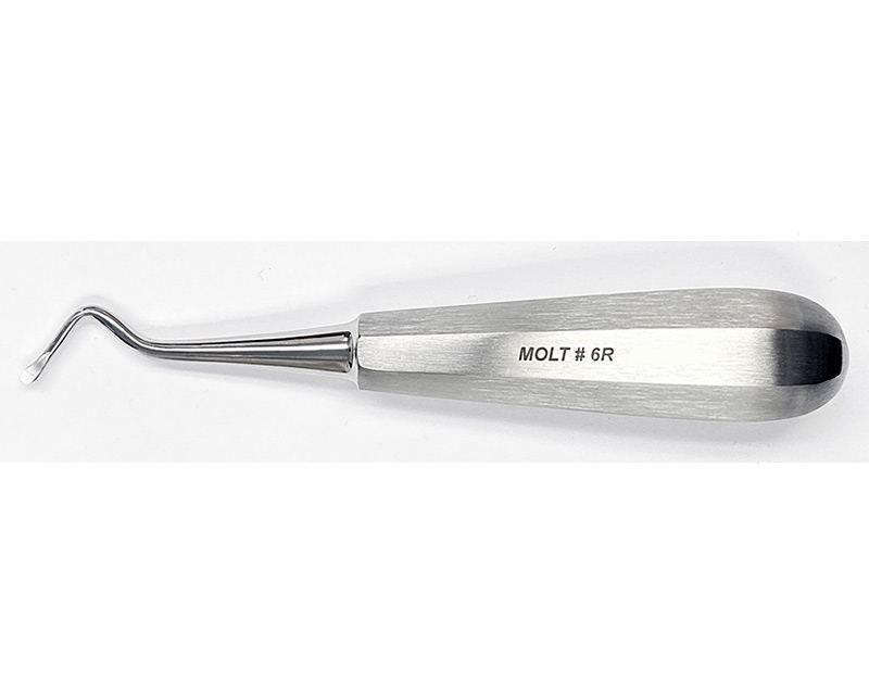 Molt Curette #6R - MARK3