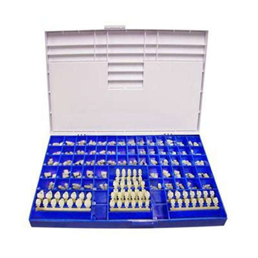 Polycarbonate Crowns 5/pk - MARK3 - Dental Supplies